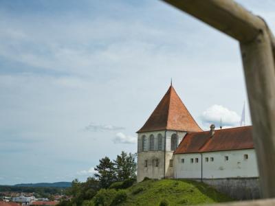 a view of a castle through a window