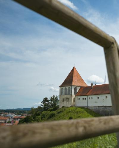 a view of a castle through a window