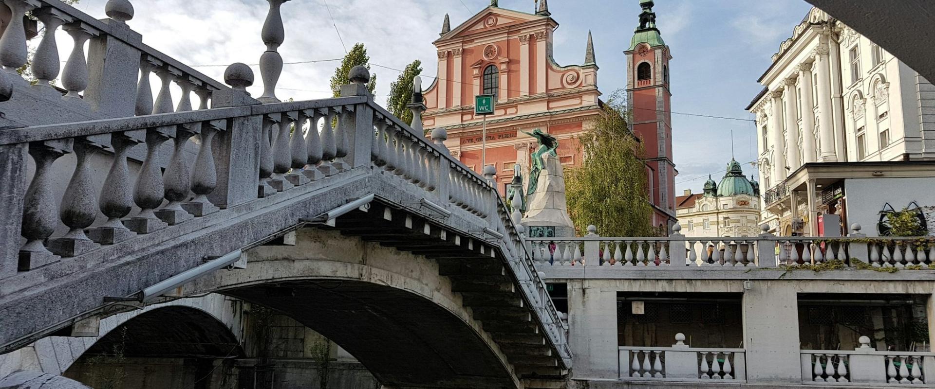 white and brown concrete bridge