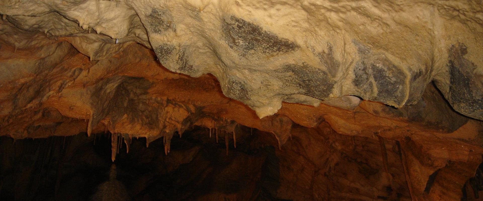 Cave halls (exceeding 50 meters in height)