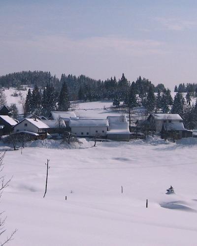 GlinaBloke1