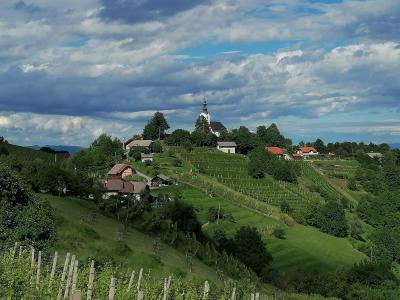 Šmarješke Toplice