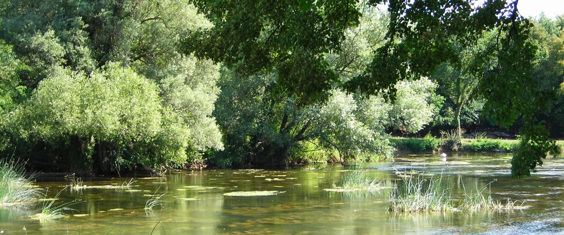 Brestanica river