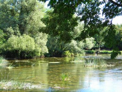 Otočec, fiume 8