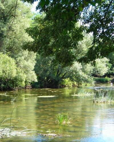 Otočec, fiume 8