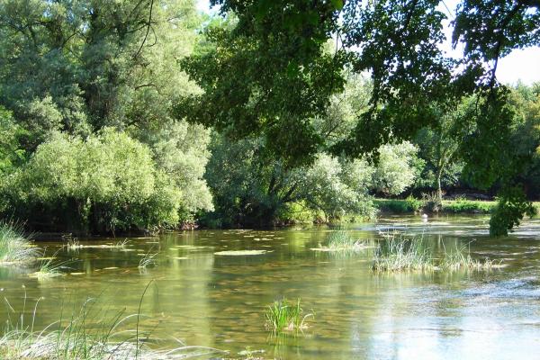 Brestanica river