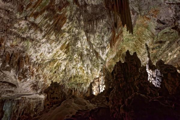 Postojna Cave