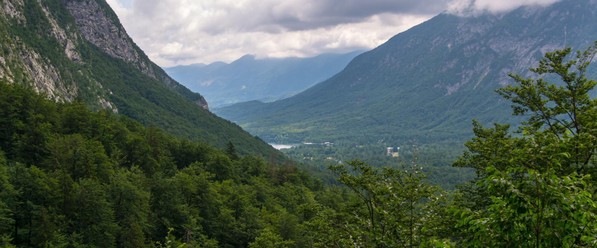 Lake Bohinj