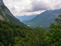 Lake Bohinj