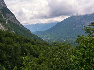 Bohinj 4072