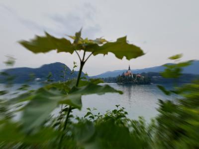 Bled Island from Mala Zaka