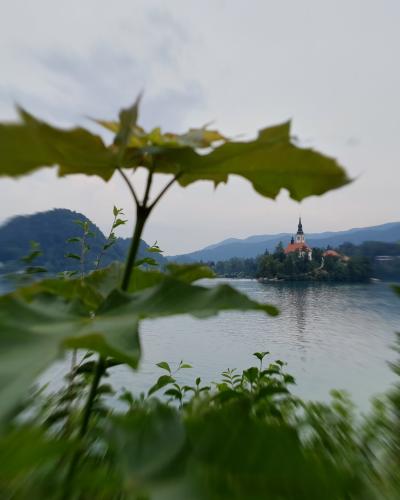 Bled Island from Mala Zaka