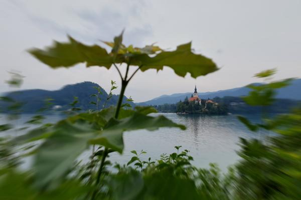 Straža