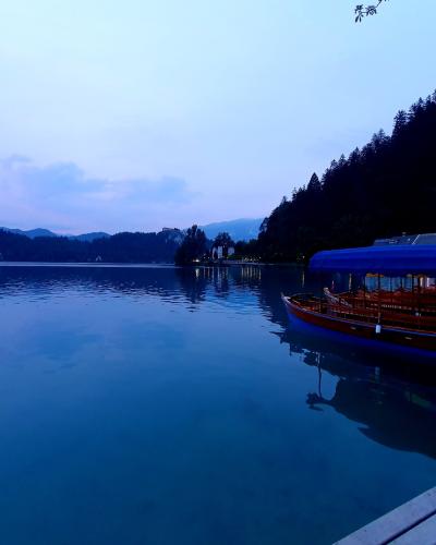 Bled Castle and Pletna Boats, Mlino Bled