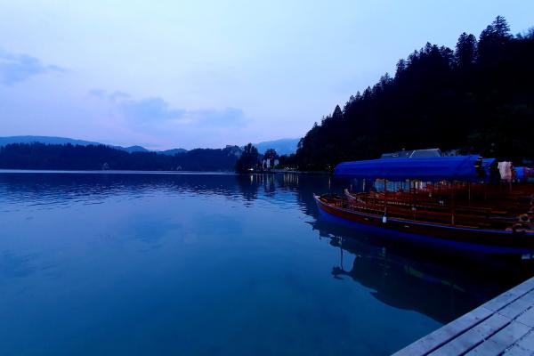 Pletna Boats