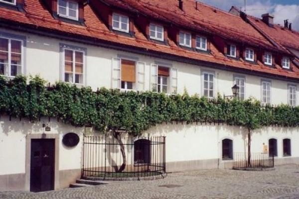 Old Vine House