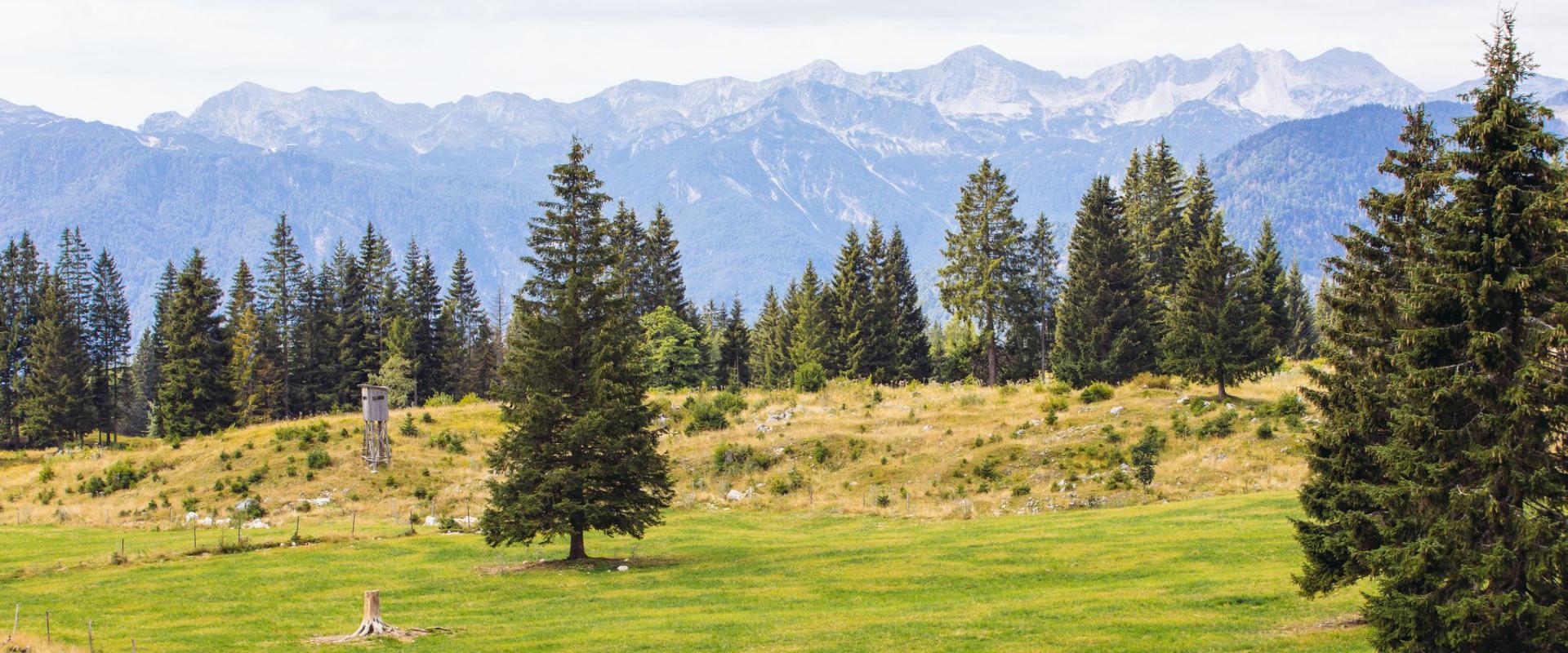 Scenic landscape in the Julian Alps near the Pokljuka biathlon center, Slovenia (52340425486)
