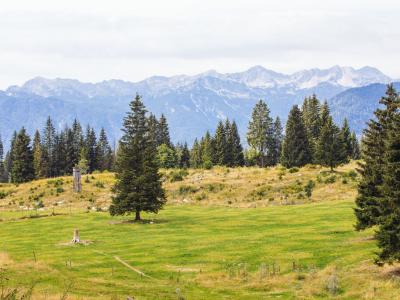 Scenic landscape in the Julian Alps near the Pokljuka biathlon center, Slovenia (52340425486)