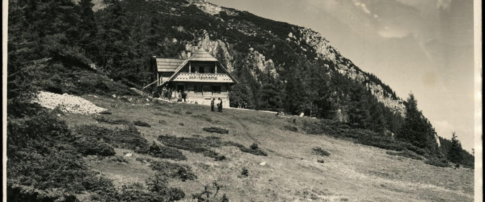 Mežica