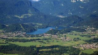 Bled