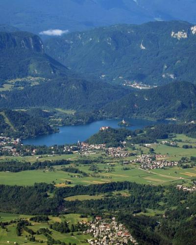 Blejsko jezero