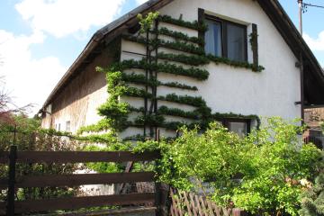 Brnik