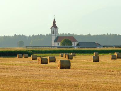 Bale - Voglje, Šenčur