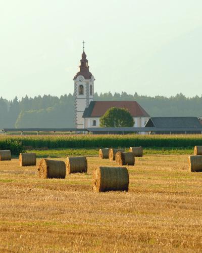 Bale - Voglje, Šenčur