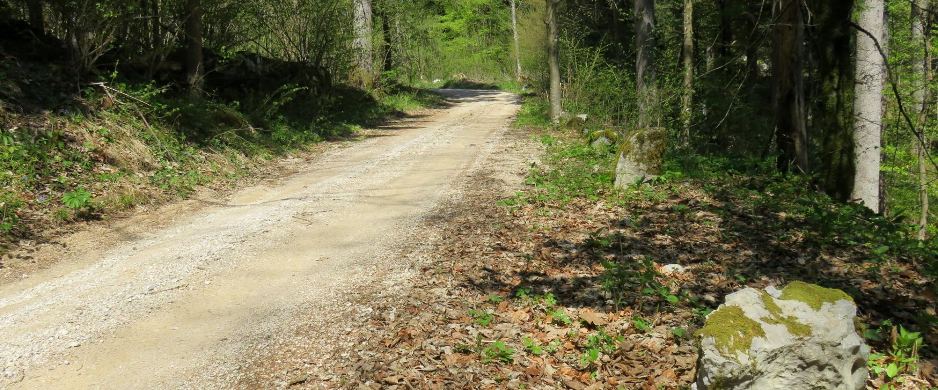 Roman Road