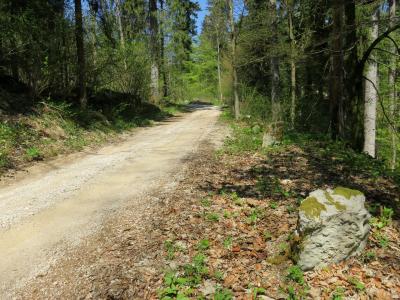 Kalce Logatec Slovenia - Roman road 1