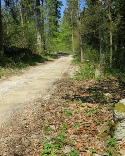 Kalce Logatec Slovenia - Roman road 1