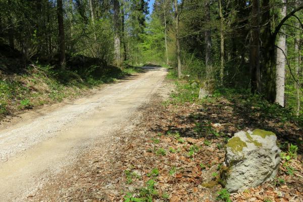 Roman Road