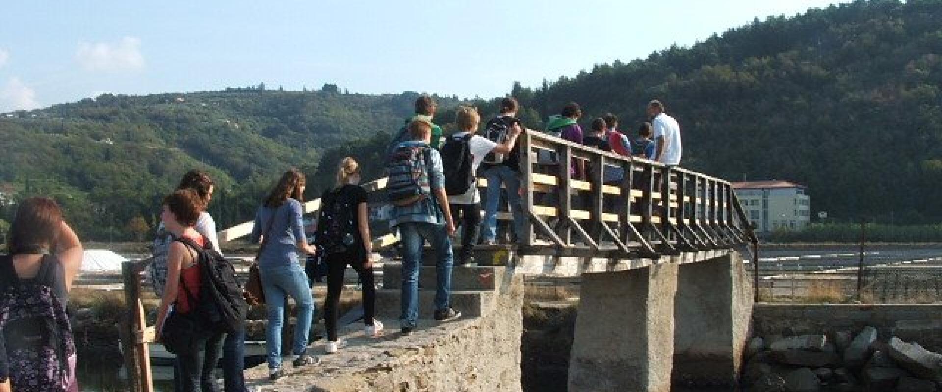 Napoleon Bridge