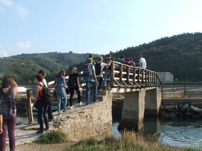 Strunjan (8626072022)