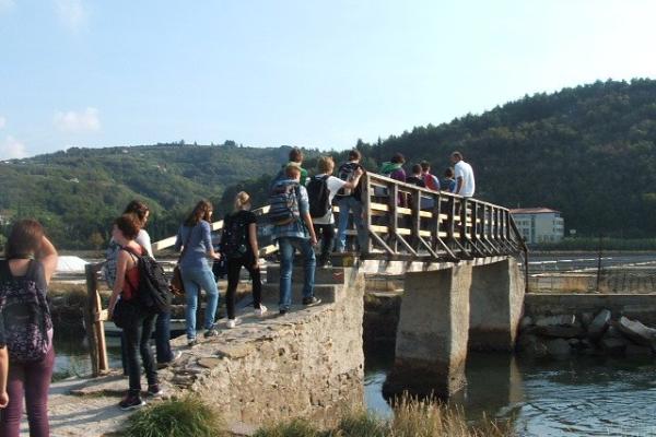Napoleon Bridge
