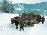 Essential Packing List for Your Slovenia Adventure