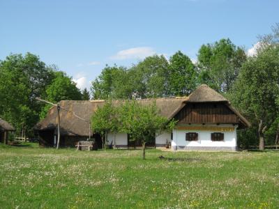 Gorisnica(DominkovaDomacija)