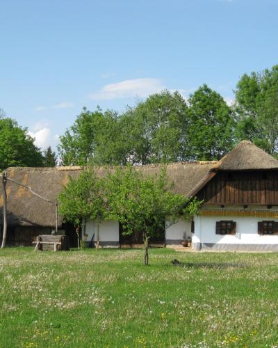 Gorisnica(DominkovaDomacija)