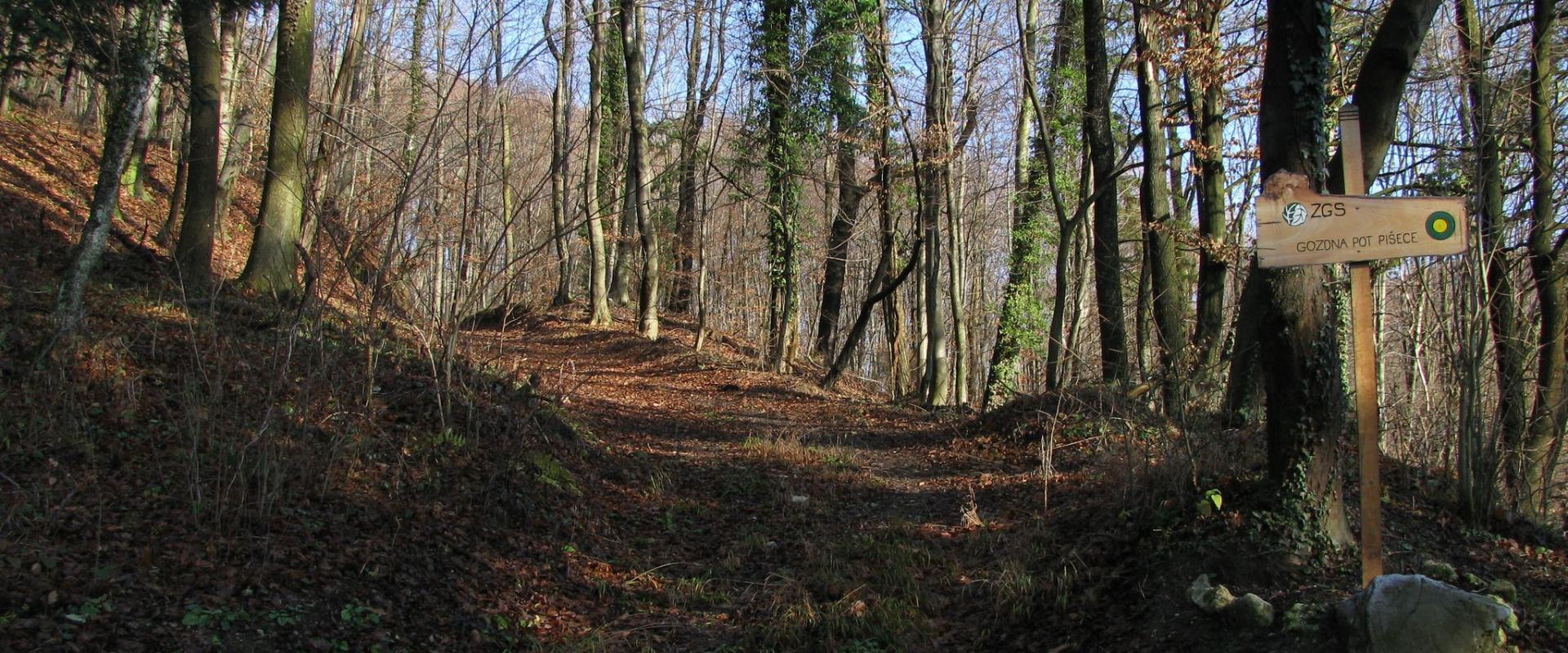 Educational trail