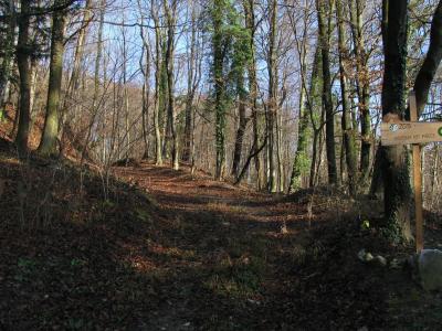 Pišece (4217887829)