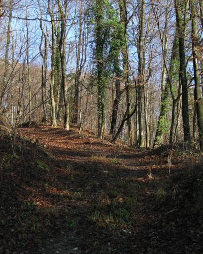 Pišece (4217887829)