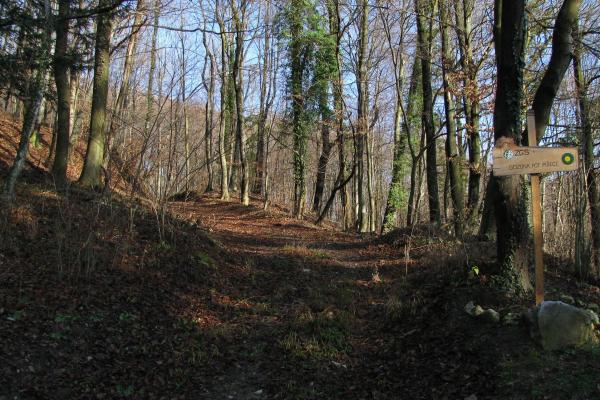 Educational trail