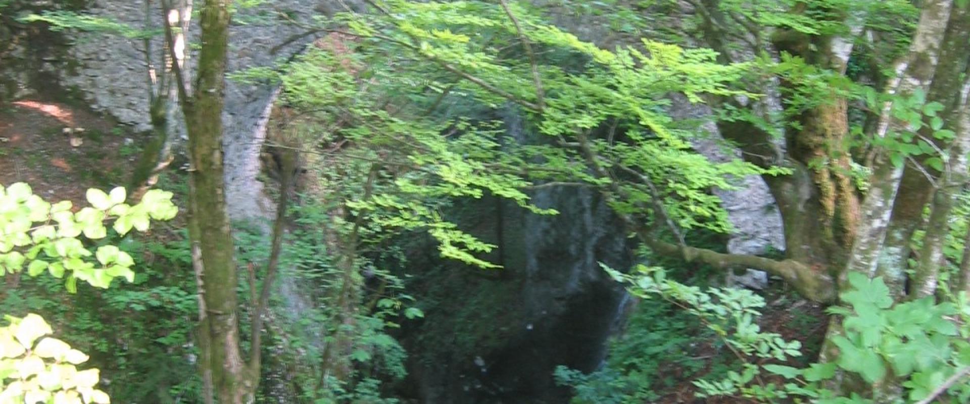 Grumble bear trail