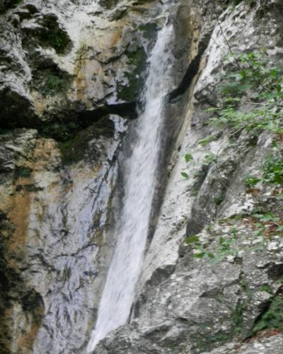 Sušec (3)