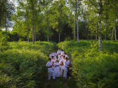 Under the birch trees, Bela krajina, Slovenia