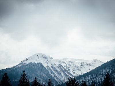 Bohinj-74203