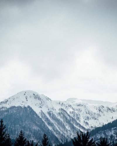 Bohinj-74203