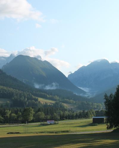 Dovje, 2013 (03)