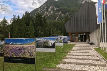 Mojstrana