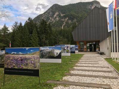 Mojstrana